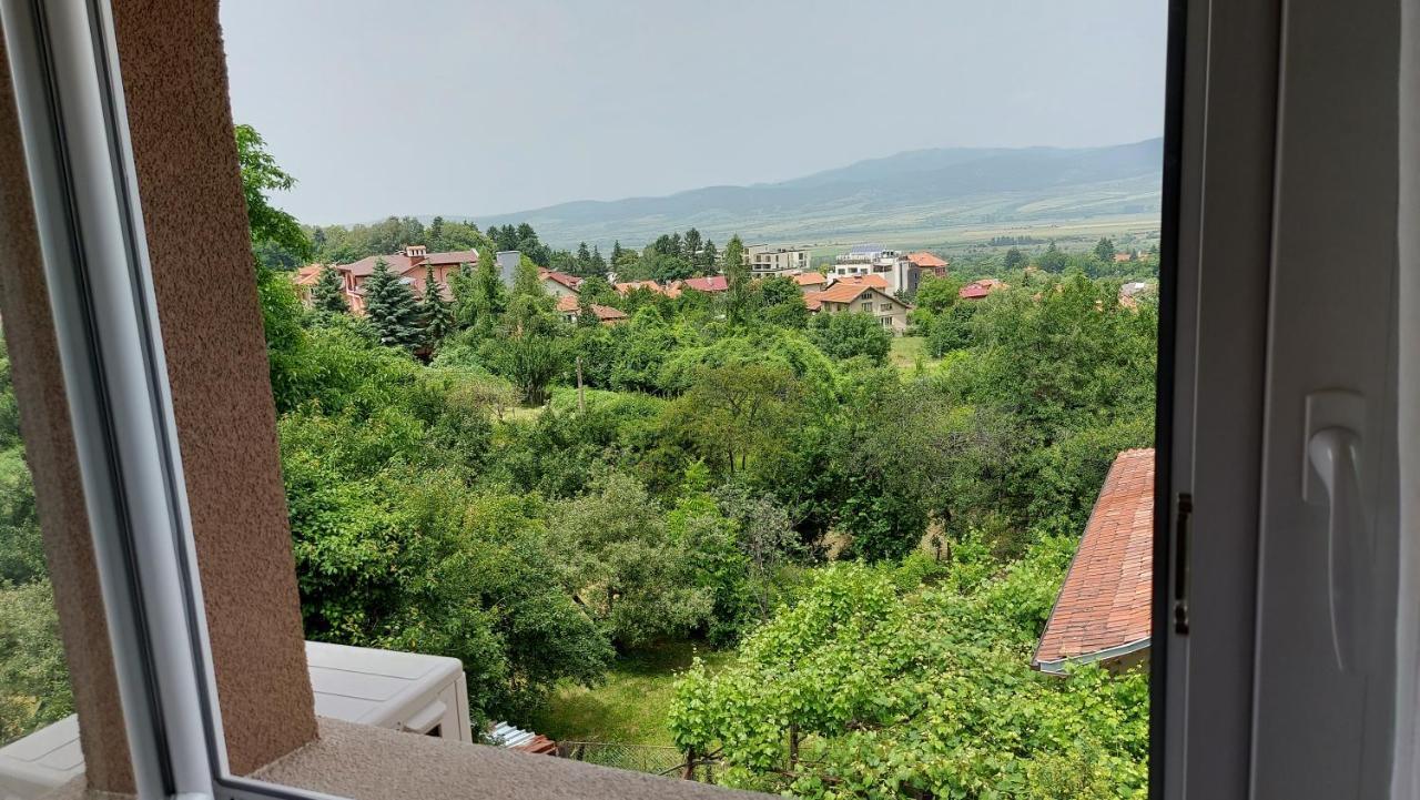 Forest Apartment Sapareva Bania Exterior foto